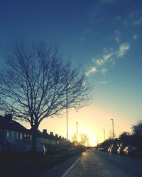 Street amidst bare trees against sky