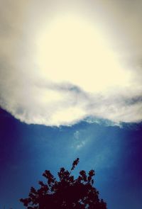 Low angle view of trees against cloudy sky