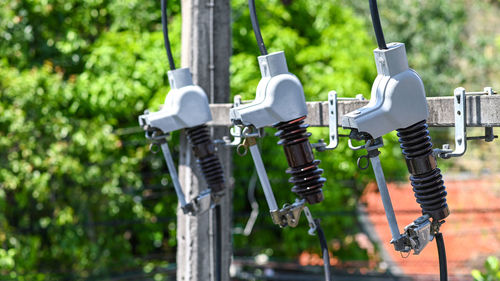 Close-up of clothes hanging on wood against trees