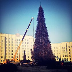 View of christmas tree against building