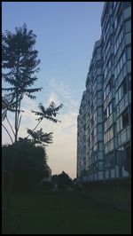 Building with trees in background