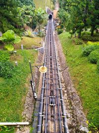 High angle view of railroad tracks amidst trees