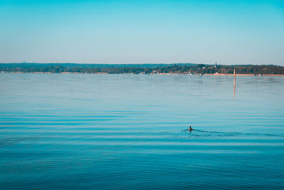 Scenic view of sea against clear blue sky