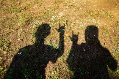 Shadow of people on grass
