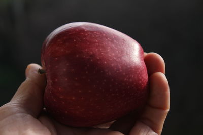 Close-up of hand holding apple against black background