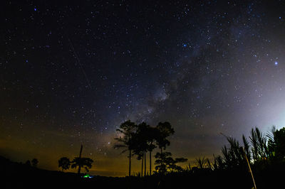 Low angle view of silhouette trees against star field