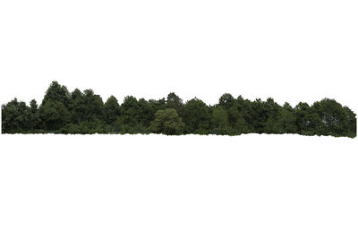 Trees on field against clear sky