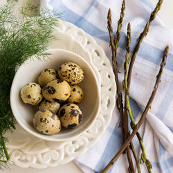 High angle view of plants in plate on table