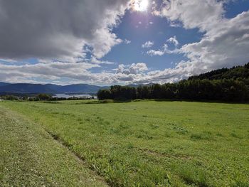 Scenic view of field against sky