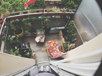 High angle view of potted plants