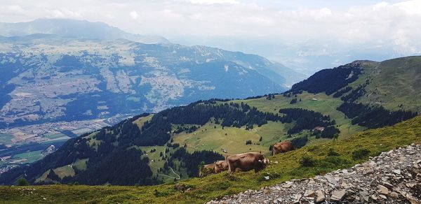 Scenic view of mountains