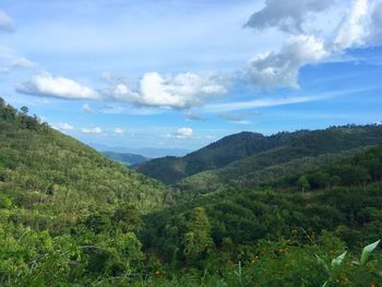 High angle view of green landscape against sky