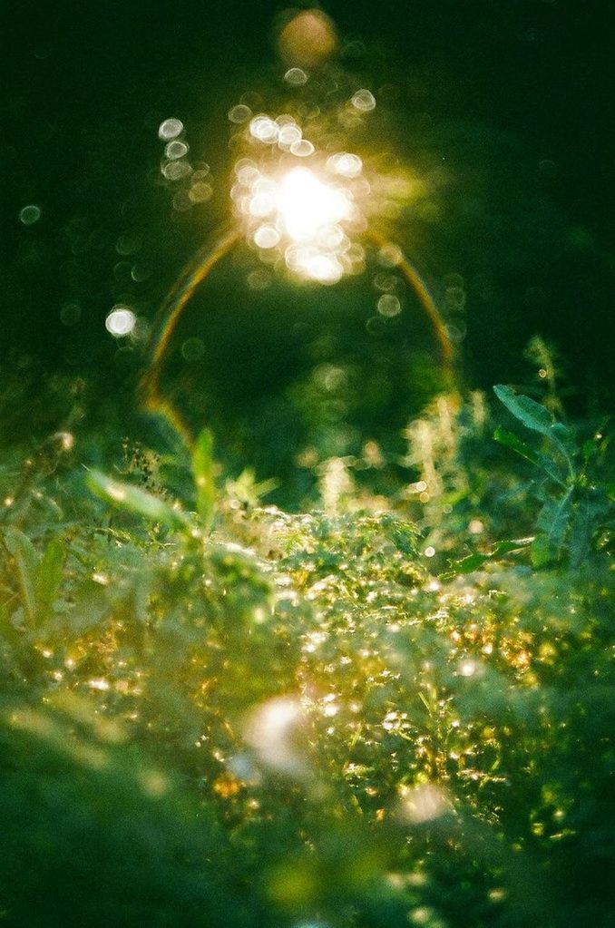 water, night, reflection, illuminated, wet, rain, nature, drop, tranquility, no people, glowing, outdoors, waterfront, beauty in nature, pond, lake, close-up, plant, leaf, puddle