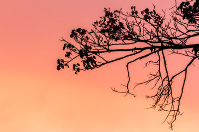 Low angle view of silhouette bare tree against orange sky