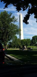 View of trees in park