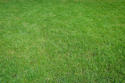 Full frame shot of soccer field