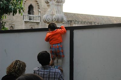 Rear view of child held up to look over a fence