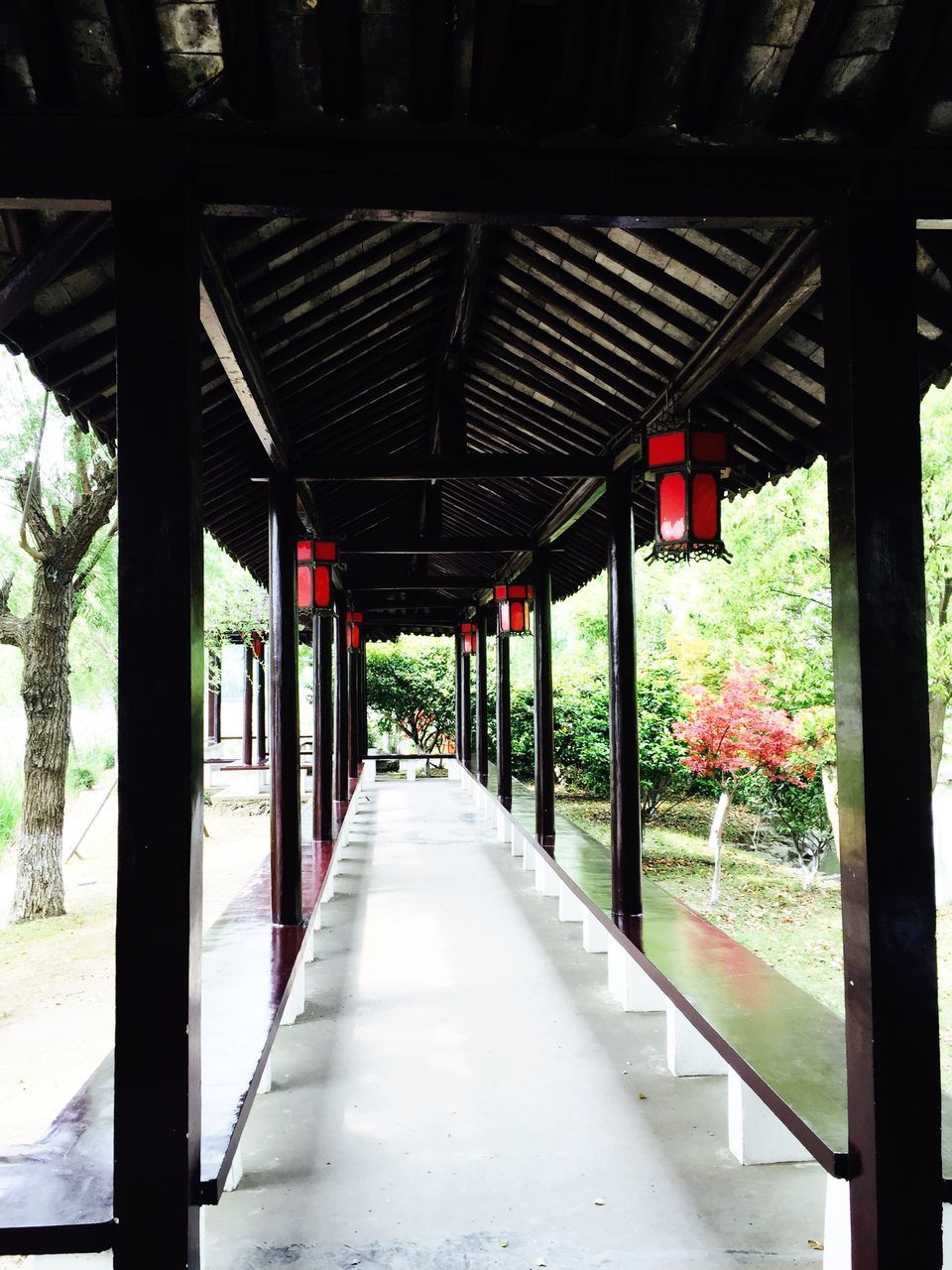 the way forward, architecture, built structure, diminishing perspective, empty, building exterior, vanishing point, tree, walkway, long, day, railing, plant, in a row, architectural column, transportation, indoors, no people, growth