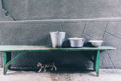 Kitten walking under table with containers against wall