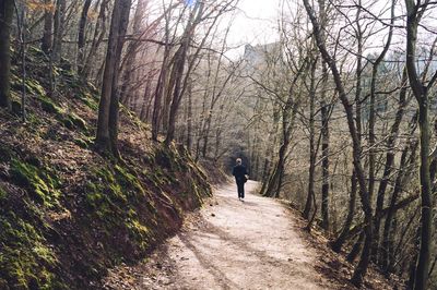 Rear view of man walking on road in forest