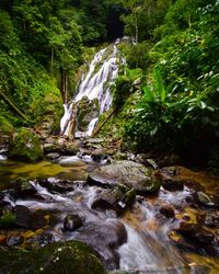 Stream flowing through rocks in forest