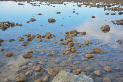 High angle view of rocks at beach