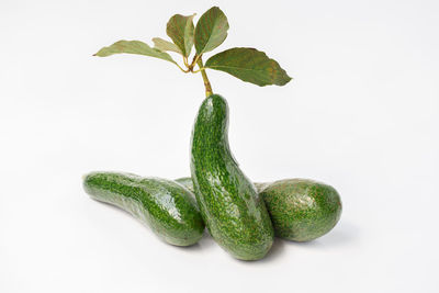 Close-up of green pepper against white background