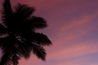 Low angle view of silhouette palm tree against sky at sunset