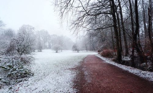 Road amidst bare trees during winter