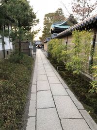 Footpath amidst trees