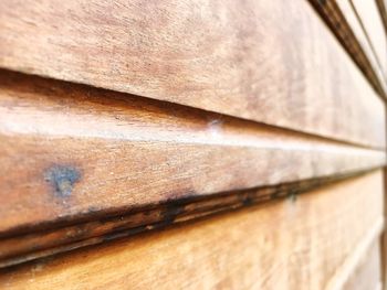 Close-up of wood