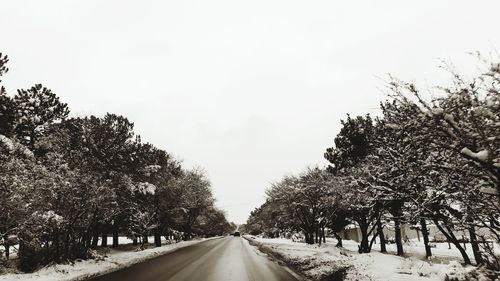 Road amidst trees against sky during winter