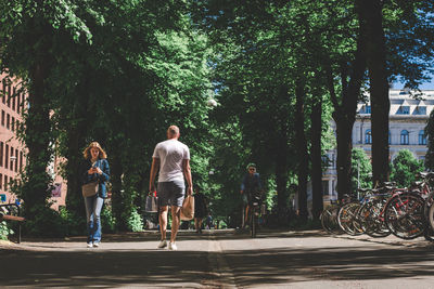 Rear view of people walking by trees