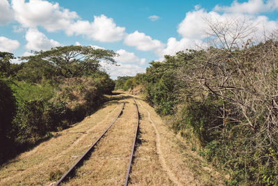 View of railroad track along trees