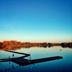 Reflection of trees in calm lake