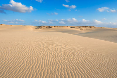 Sand at beach against sky