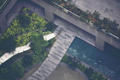 High angle view of potted plants by swimming pool