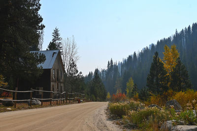 Road amidst trees against sky