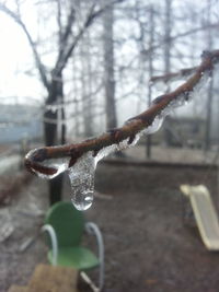 Close-up of water drops on plant