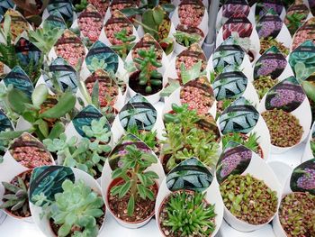 High angle view of multi colored vegetables for sale