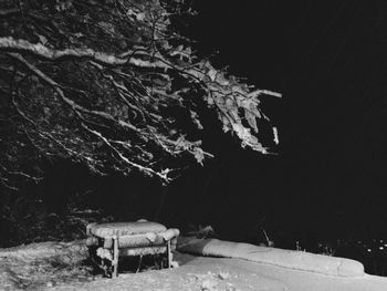 View of trees on snow covered land