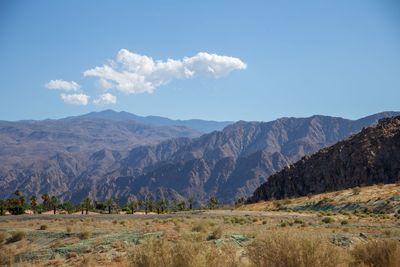 Scenic view of field and mountains against sky