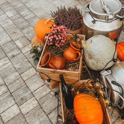 Pumpkin, clay jugs lie with straw in wooden boxes, next to iron cans, and a basket of lavender