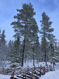 Scenic view of snow covered landscape