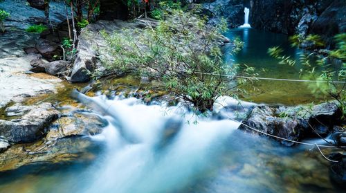 River flowing through forest