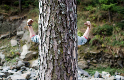 Man with arms raised in tree trunk