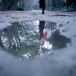 Woman holding umbrella reflecting in puddle