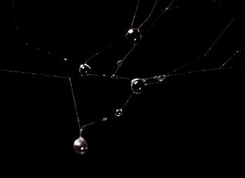 Close-up of water drops on leaf