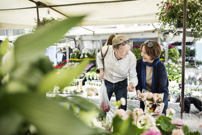 Happy senior couple talking while buying flowers at market
