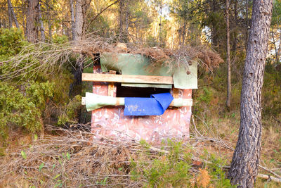 Built structure on field in forest